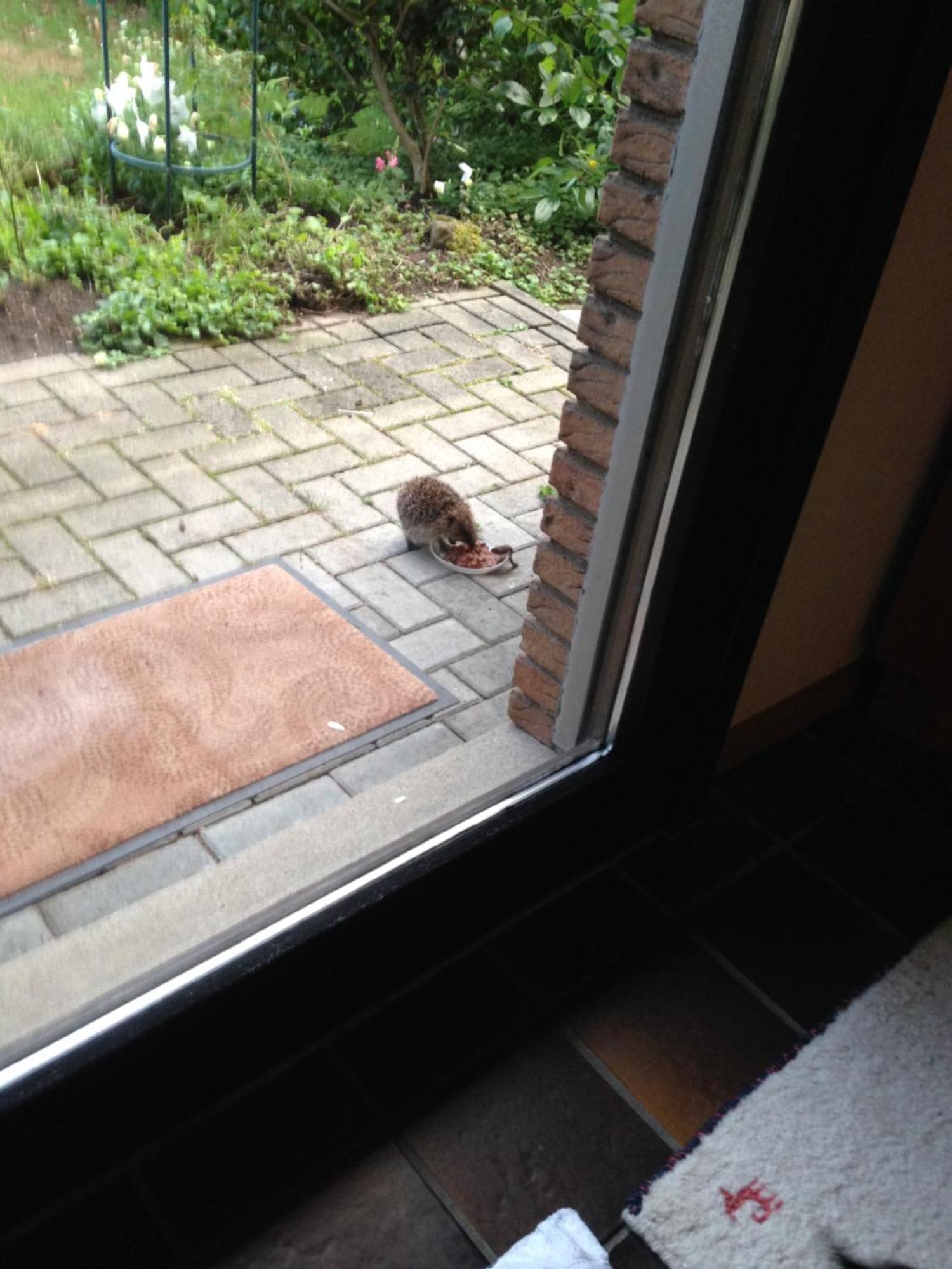 Homestay Kempen/nrh. Kempen